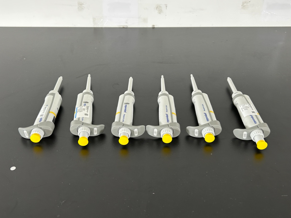 Image of Eppendorf Research Plus Single Channel Pipettes - Quantity 6